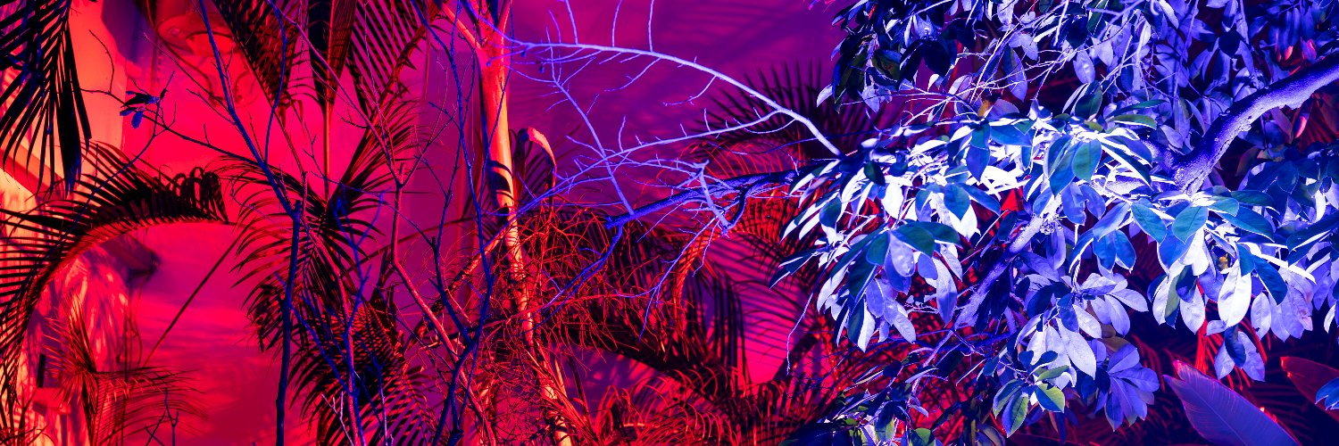 FranceMaputo's profile banner image