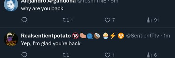 PandasAndVidya Profile Banner