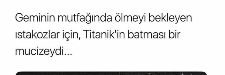 Feridun Fred🧢 banner