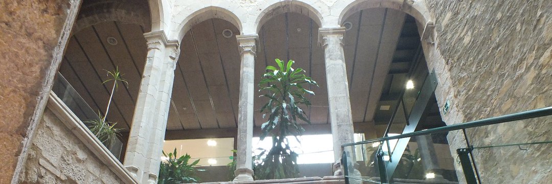 Consell Comarcal de la Conca banner