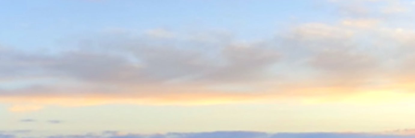 ; p banner