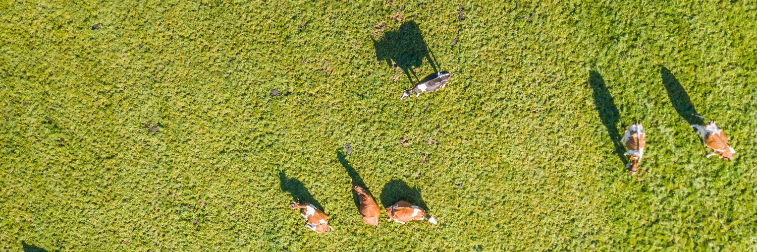 BLW - OFAG - UFAG banner