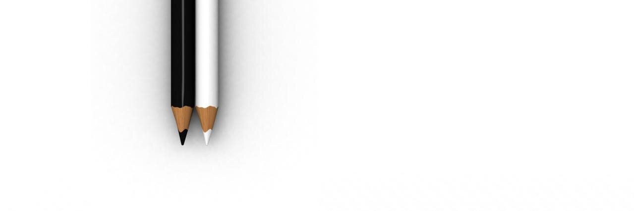 Dainis Budrevičs banner