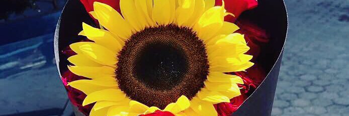 97miyu's profile banner image