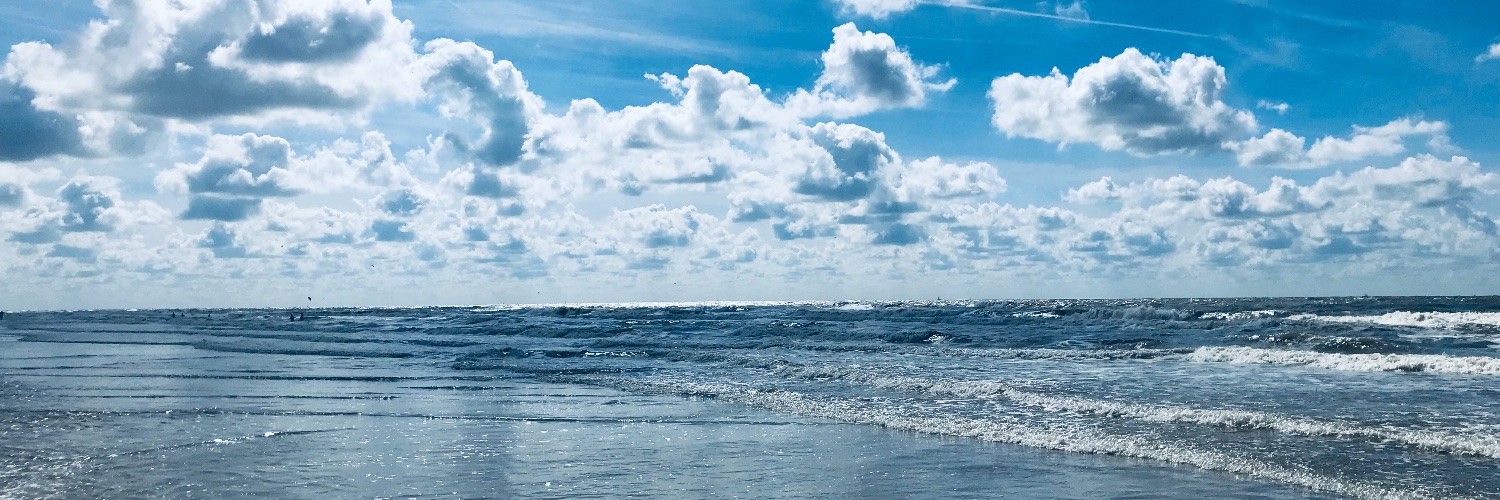 Pimsai Chichareon banner