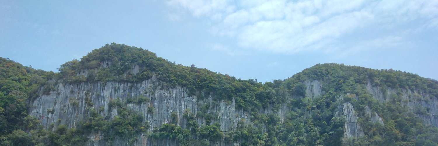 Penanam Anggur Belajar Melukis's banner