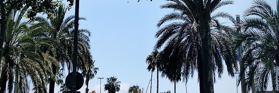 RodenasSara's profile banner image