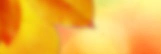hpino52's profile banner image