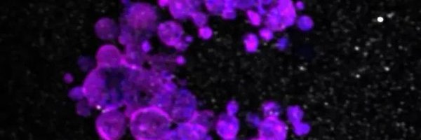 DanisThomas4 Profile Banner