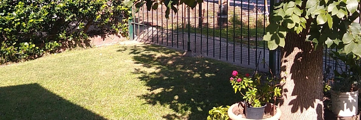 Maximiliano Monci banner