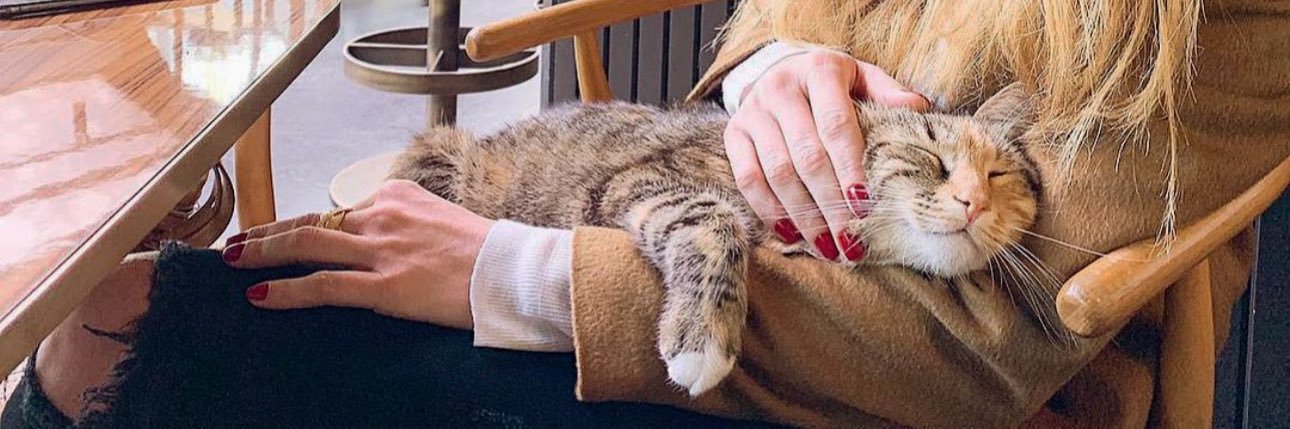 ülviyye. (burcinmood hani) banner