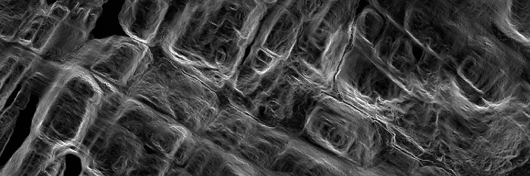 Zander Venter banner