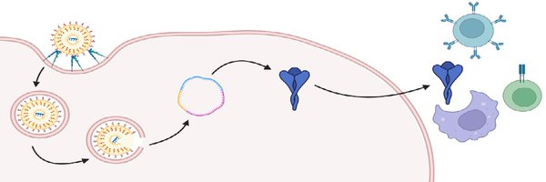 RNAVarley Profile Banner