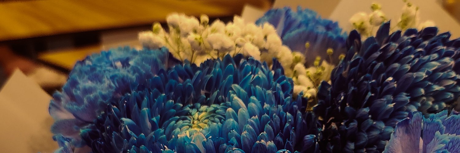 birb_ashaleya's profile banner image