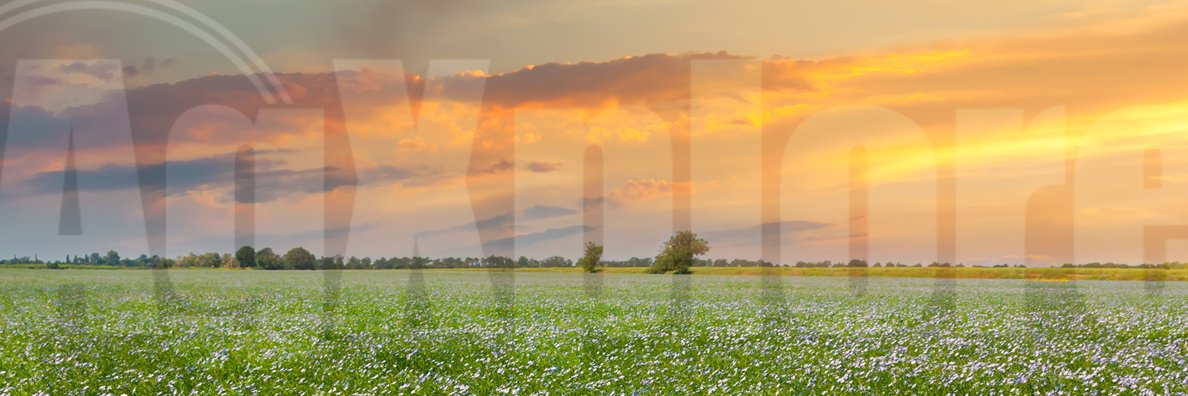 AgXplore Team Canada banner