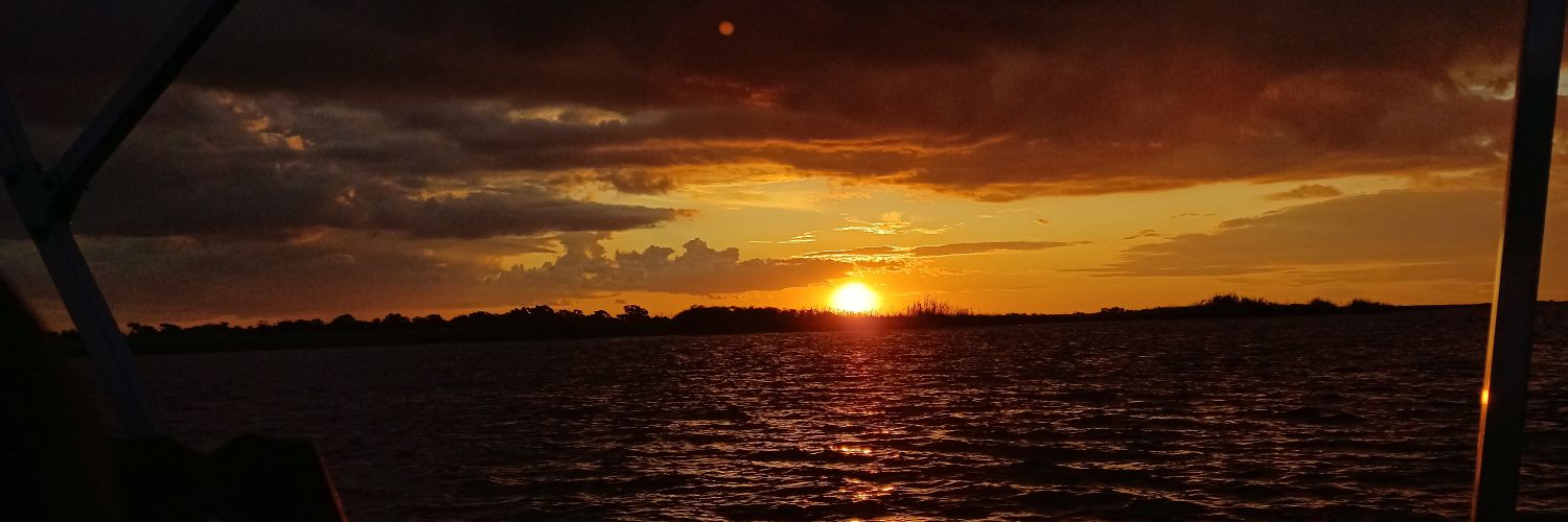 cherylmd_'s profile banner image