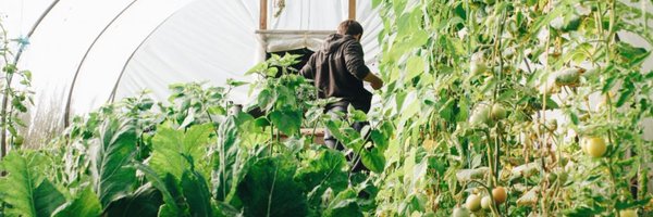 FoodNebraska Profile Banner