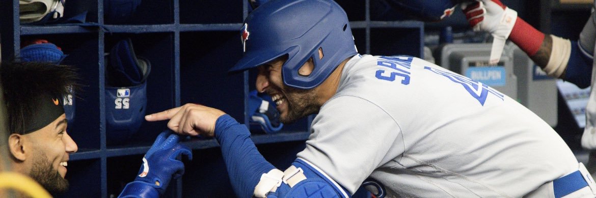 blue jays watcher banner