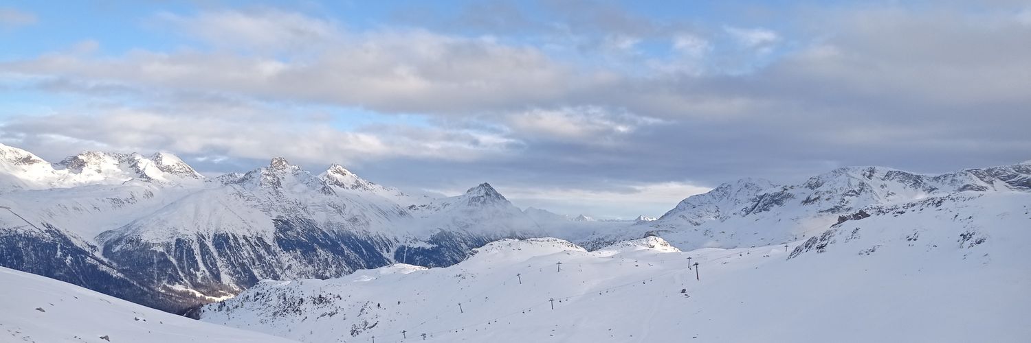 David Irritans 🌻 banner