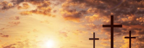 mammacip Profile Banner