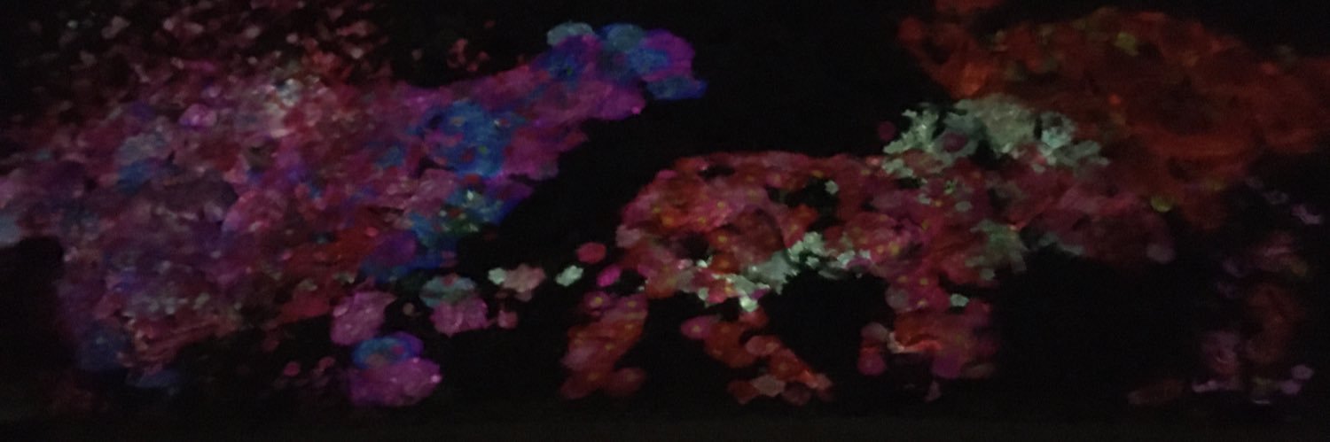 tkmtark77's profile banner image