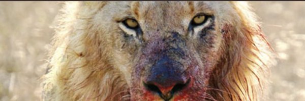 ColeHarpole Profile Banner