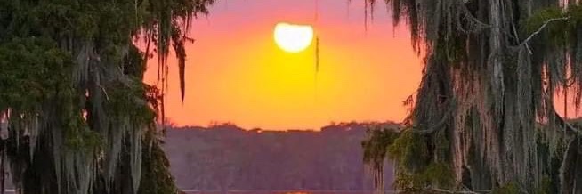 🦞🦐Bayou Swamp Man🦐🦞 banner