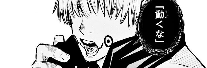 lin banner