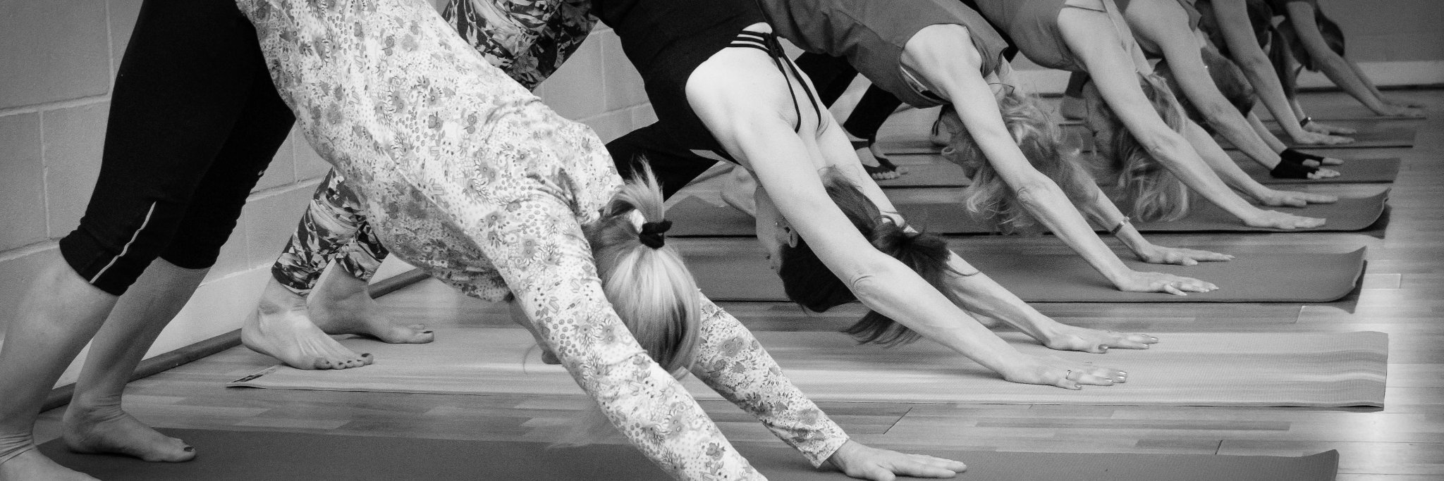 Selfcentre's profile banner image