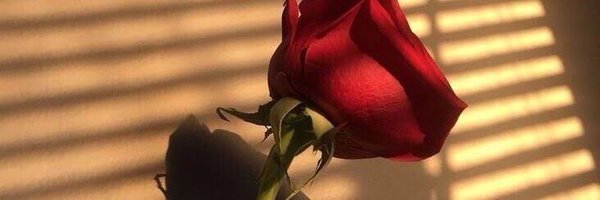 MLaffs Profile Banner