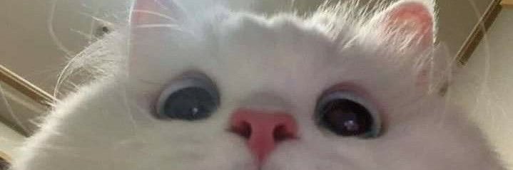 ilaydatrkgll's profile banner image