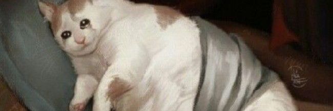 emuxo_'s profile banner image