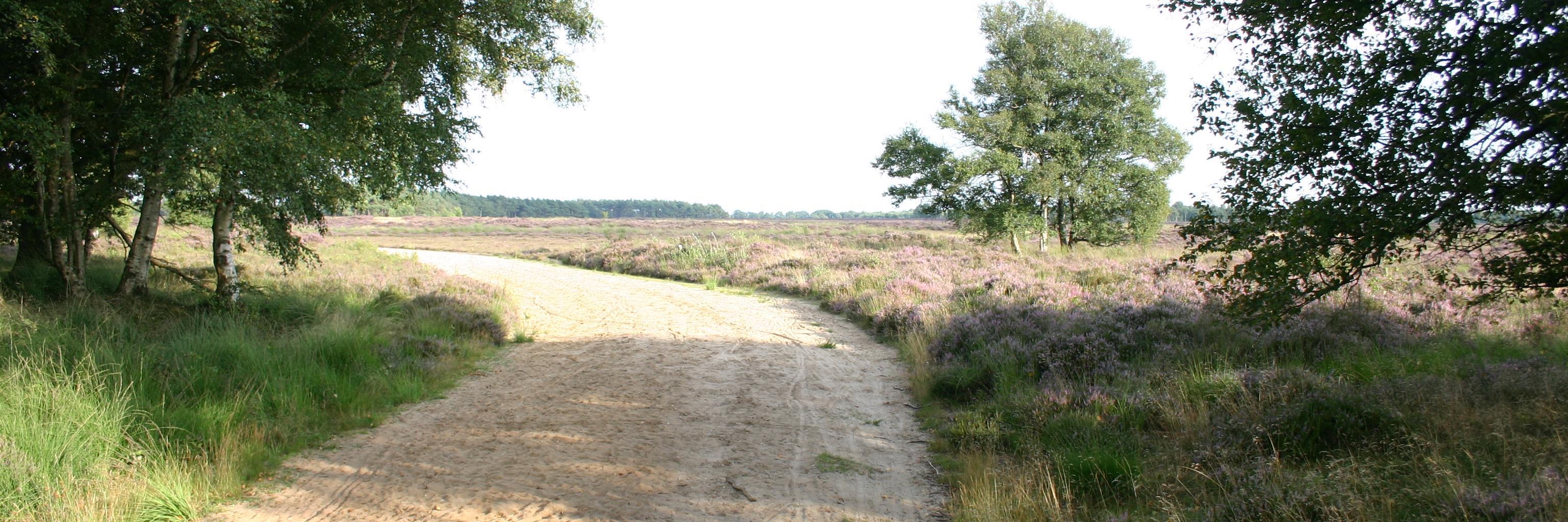 hendrikspeter's profile banner image