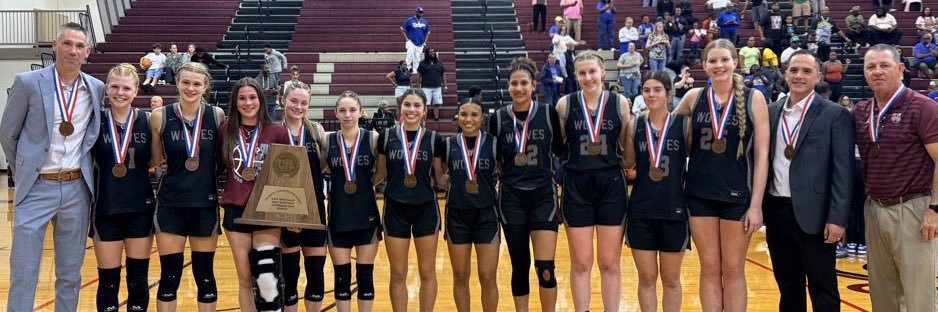 Davenport Girls Hoops banner