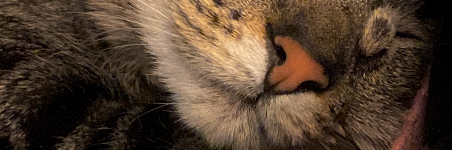 𝒞ℴ𝓇𝒶 ❤️‍🔥 banner