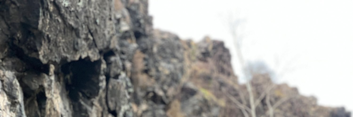 Рита Логинова banner