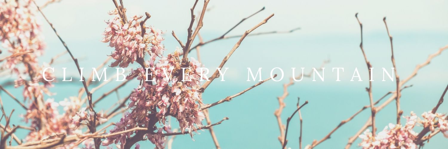 Sharon Mascarenhas banner