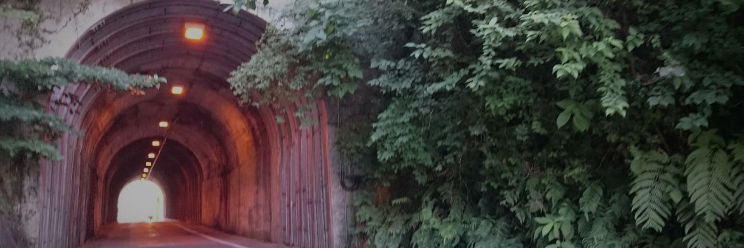 slat_orange's profile banner image