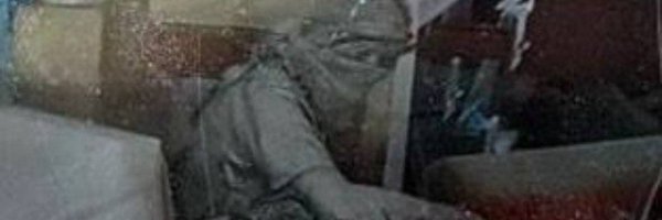 dooglives Profile Banner