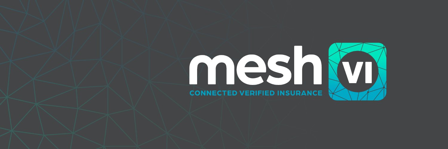 meshVI_InsurOps's profile banner image