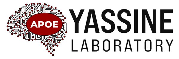 yassinelab1 Profile Banner