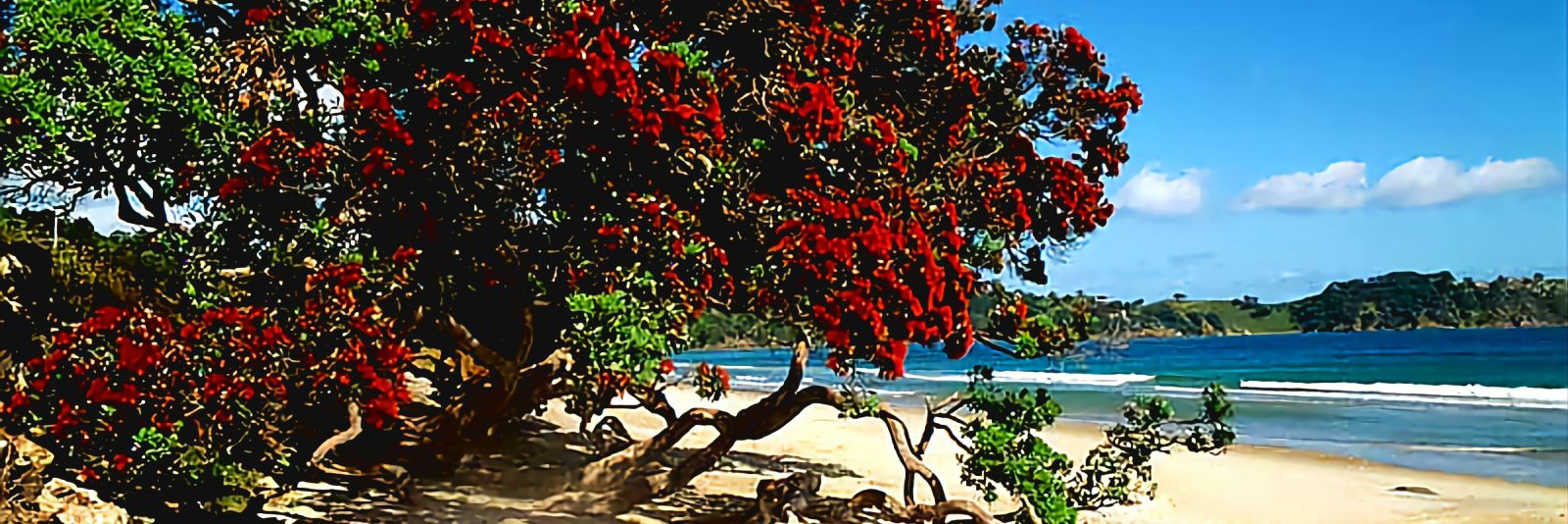 Anaru te Poureke banner