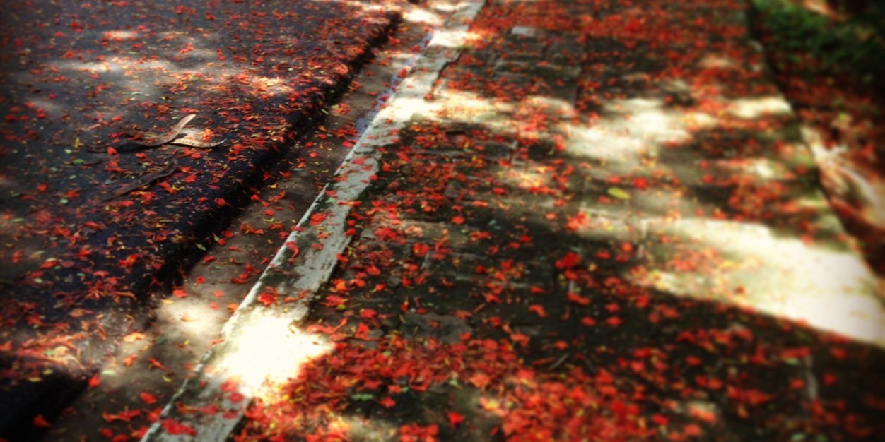Jan_roams's profile banner image