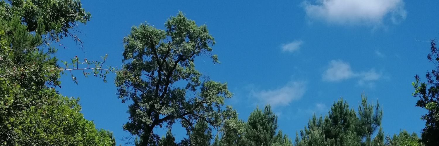 ejda1992's profile banner image