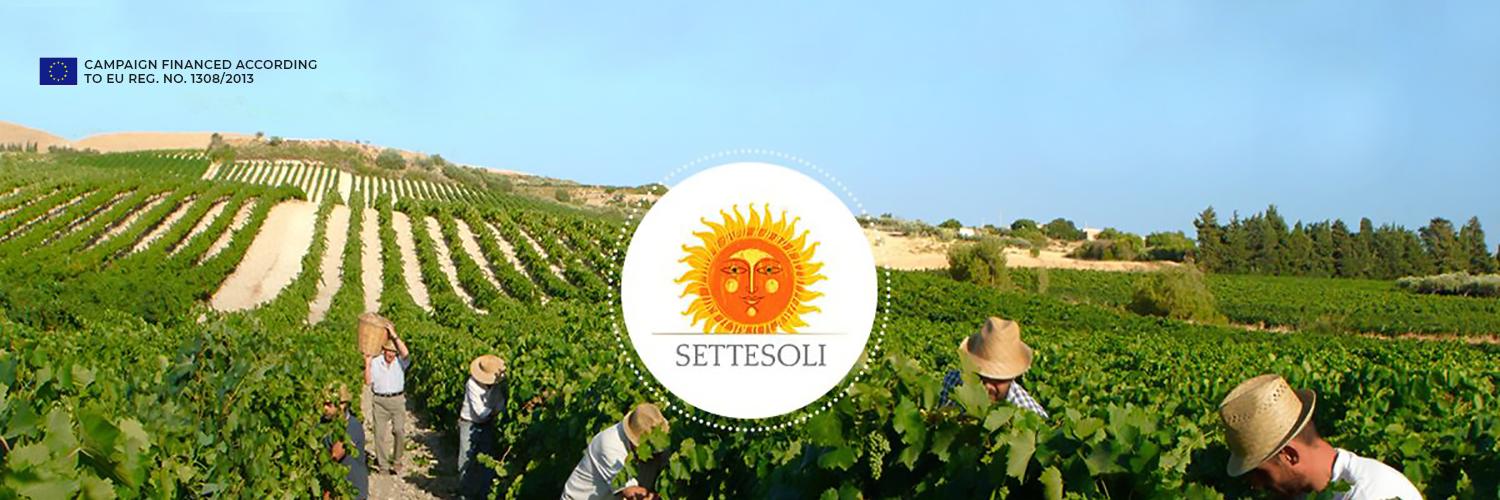 Settesoli banner