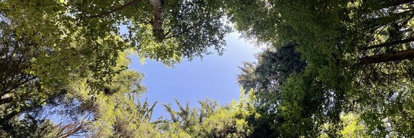 GlassAndrewR Profile Banner