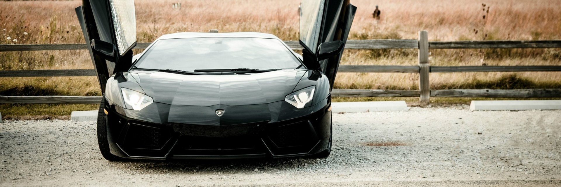 urucoches's profile banner image