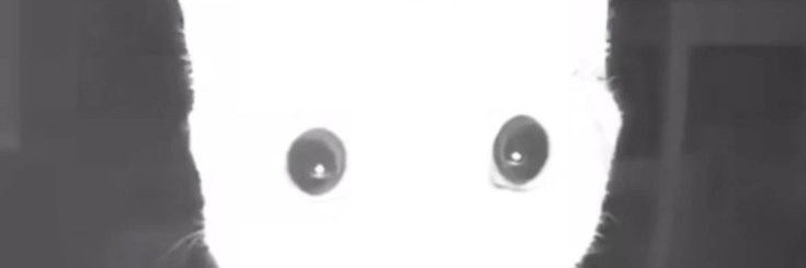 urdasof's profile banner image