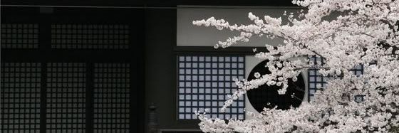 ͏ ͏ ͏ ͏ ͏ rin banner