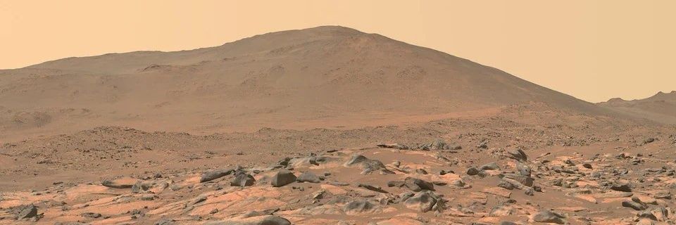 Mousa Javidialsaadi banner